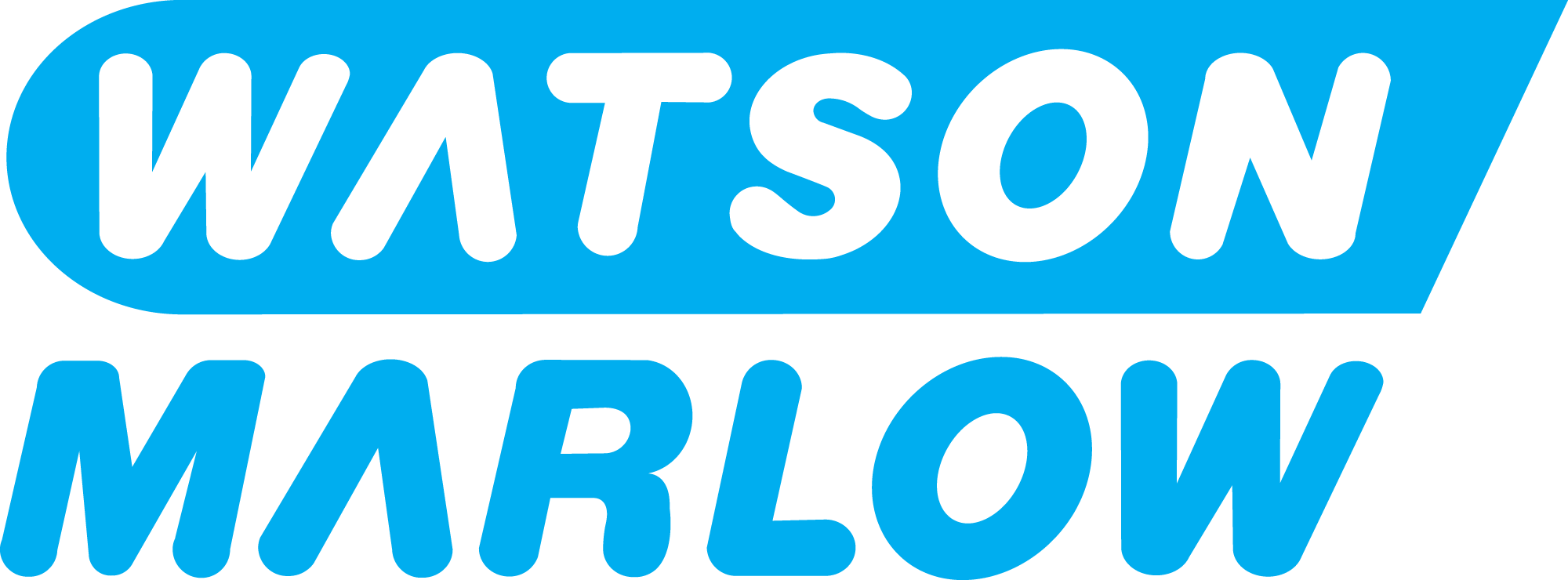 Watson-Marlow logo