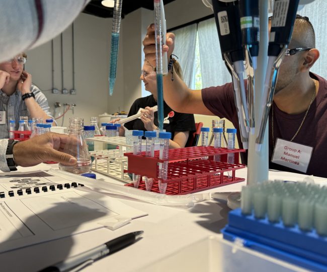 Pipette 2